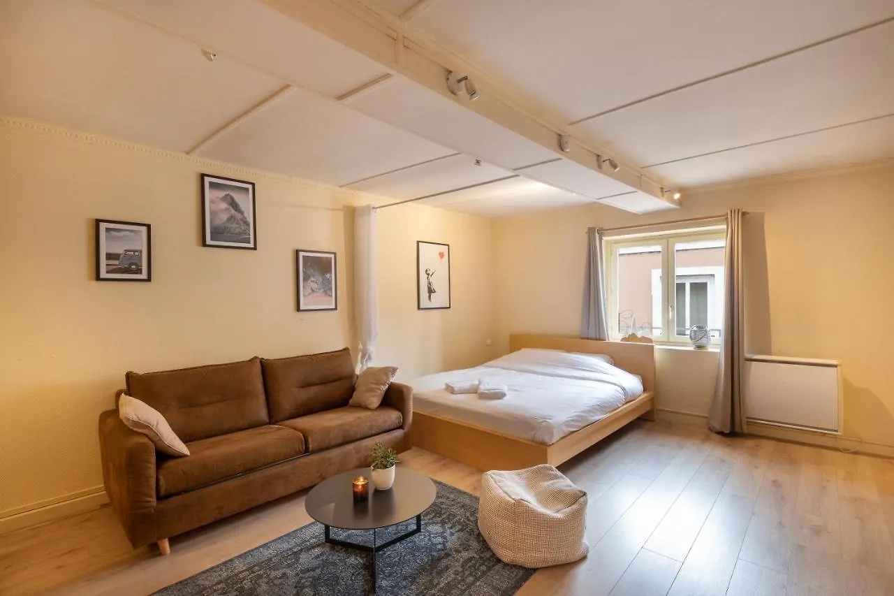 Cabana & Le Petit Marronnier Apartman Lyon 0*,